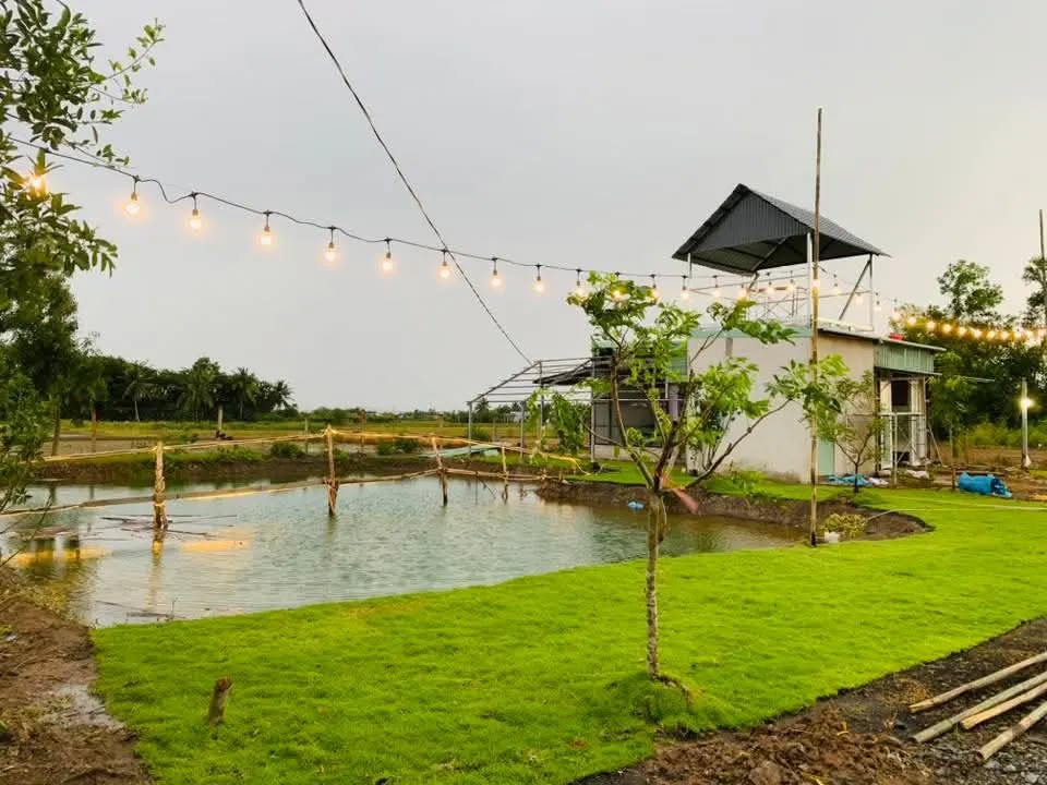 Bán nhà vườn Tân Trạch 1.000m² giá 1.579 tỷ - Không gian sống lý tưởng gần Sài Gòn!