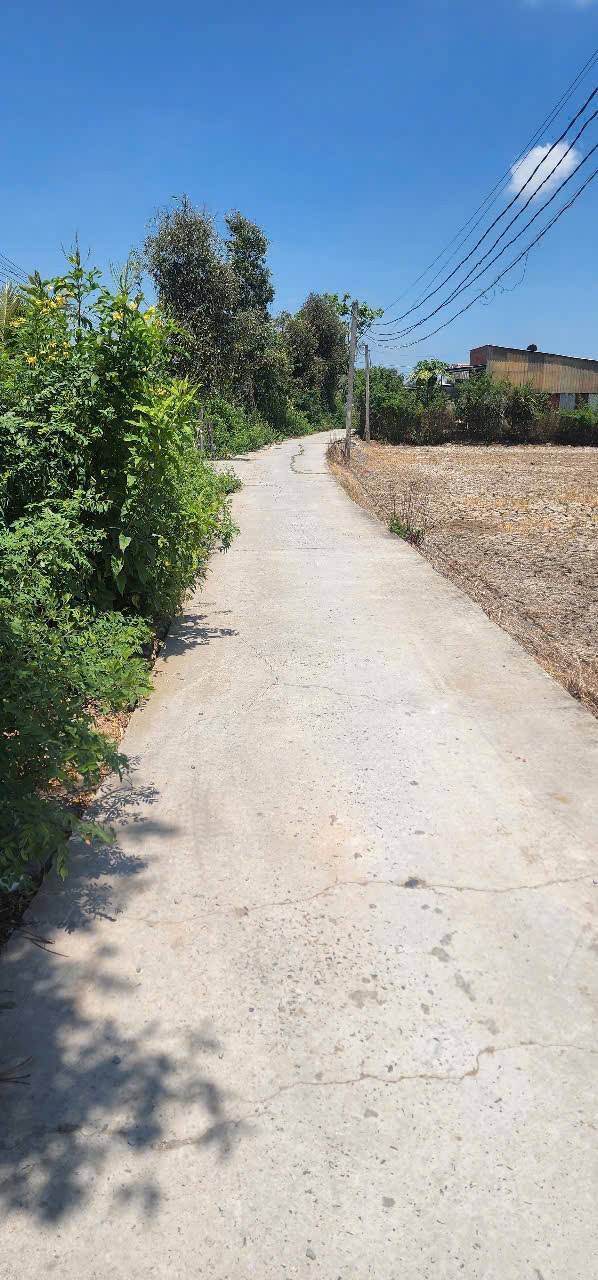 Đất thổ cư 1.800m² xã Phước Lợi Bến Lức giá 5.4 tỷ - Cơ hội đầu tư tuyệt vời!