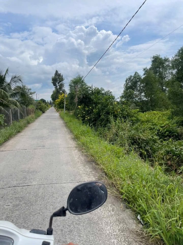 Đất thổ cư Lương Hòa, Bến Lức 424m² giá 2.5 tỷ - Sổ đỏ chính chủ, thương lượng ngay!