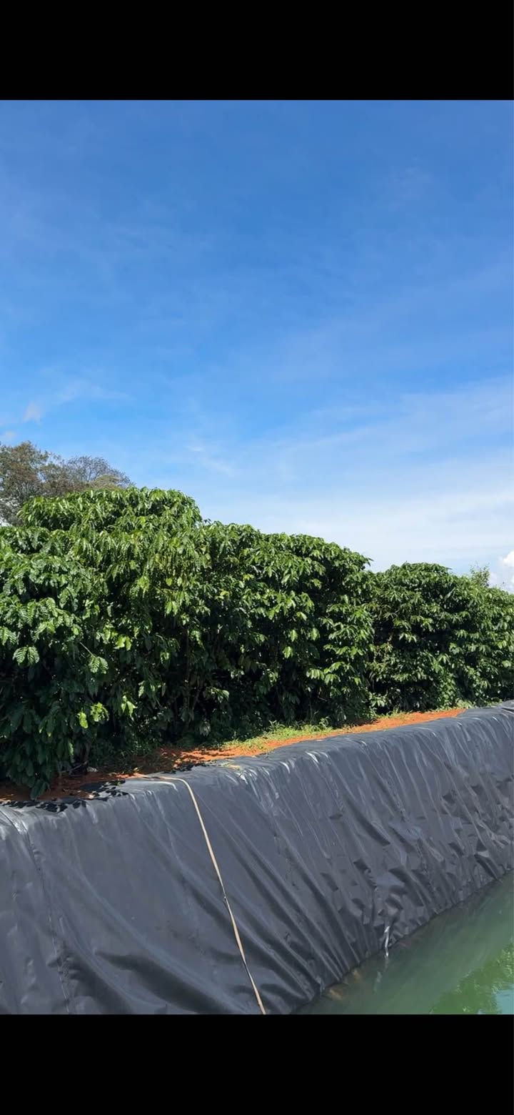 Đất vườn 2ha Tân Thanh, Di Linh chỉ 2.1 tỷ - Cơ hội đầu tư tuyệt vời!