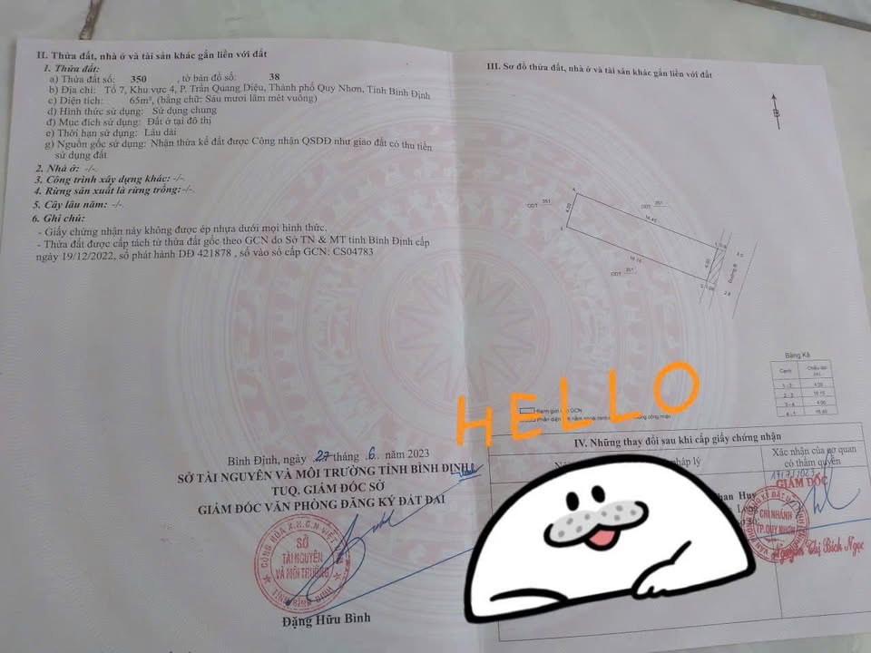 Đất nền phường Quy Nhơn Bắc 65m² giá 900 triệu - Sổ hồng chính chủ