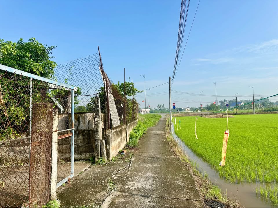 Nhà cấp 4 hẻm đường Vành Đai, Bình Tâm, Tân An, 396m² - Giá tốt thương lượng!