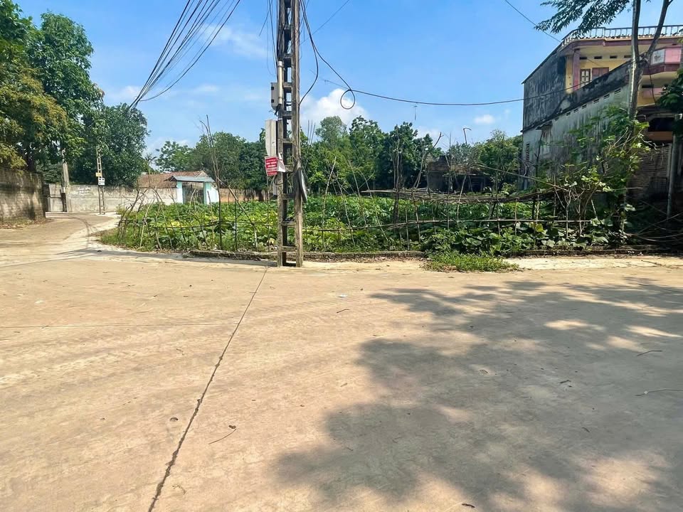 Đất nền Ngọc Châu Tân Yên 960m² giá 3 tỷ - Cơ hội đầu tư hấp dẫn!