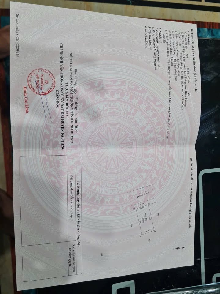 Đất Tái Định Cư Định Hiệp 210m² giá 900 triệu - Cơ hội đầu tư hấp dẫn!