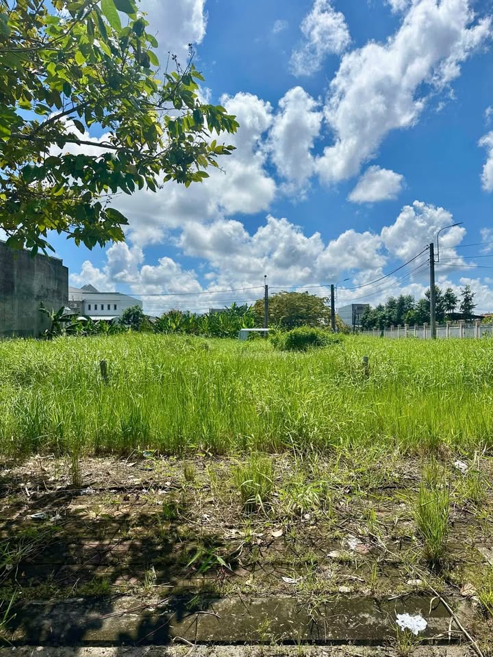 Đất nền Tân Xuyên, Cà Mau 90m² giá chỉ 1.5 tỷ - Đầu tư sinh lời ngay!