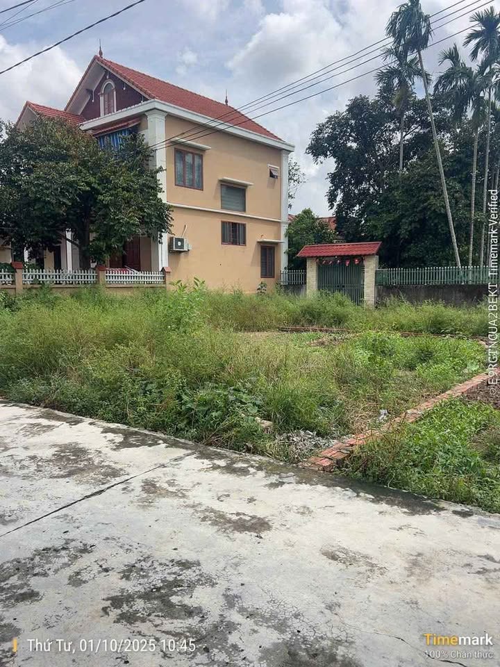 Đất Lương Quy, An Dương 50m² giá 1.3 tỷ - Đầu tư sinh lời ngay!