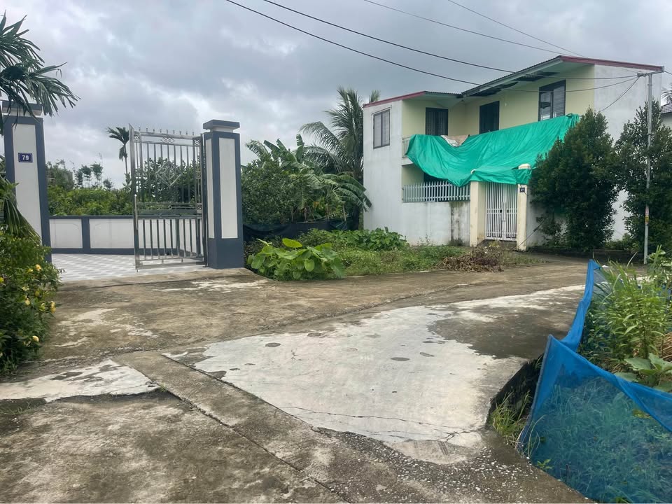 Đất thổ cư 104m² tại Tự Lập, An Dương - Sổ hồng chính chủ, giá chỉ 1.5 tỷ!