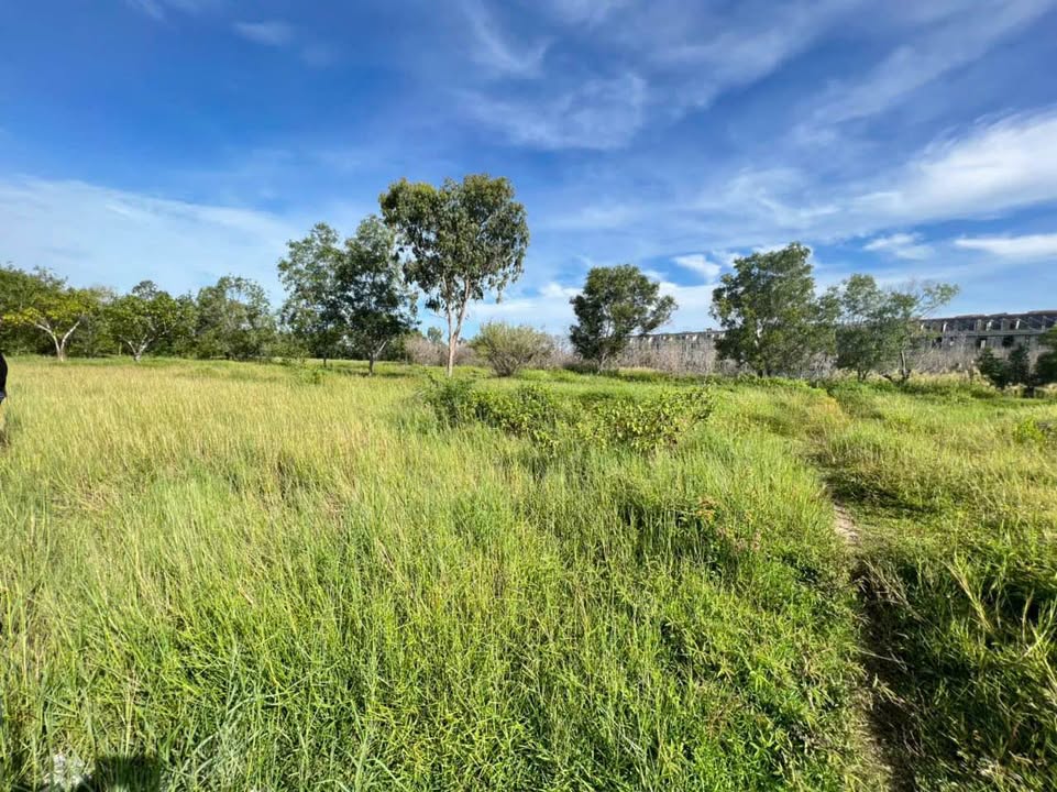 Đất nền hẻm 22 Chi Lăng, Vũng Tàu 1280m² giá chỉ 12.8 tỷ - Đầu tư sinh lời tuyệt vời!