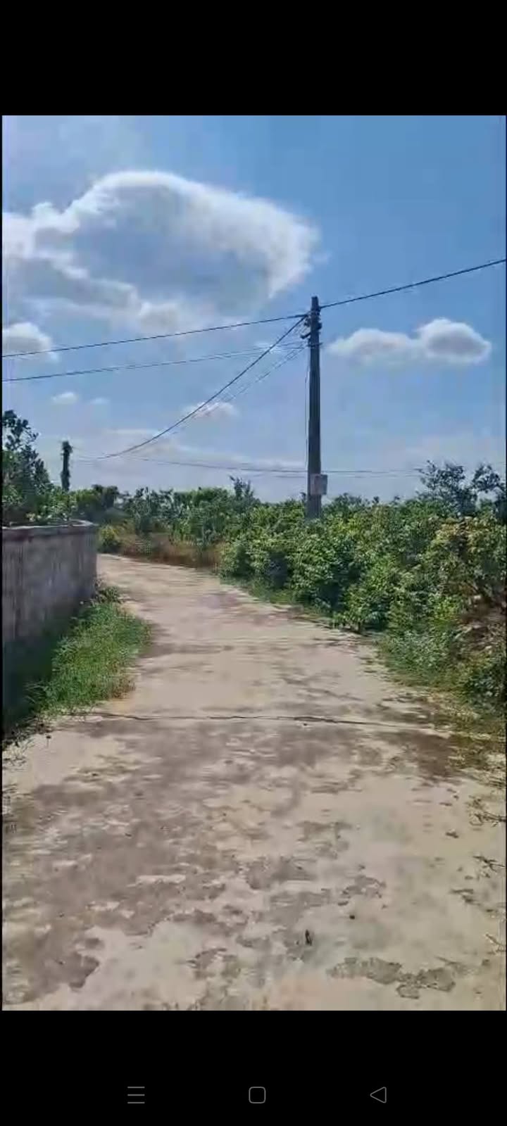 Đất nền xã Tân Lập, Lục Ngạn 500m² giá thỏa thuận - Đường ô tô thông thoáng!