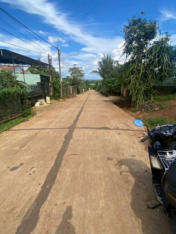 Đất mặt tiền Bùi Đình Túy Pleiku 160m² giá 1.2 tỷ - Sổ đỏ chính chủ