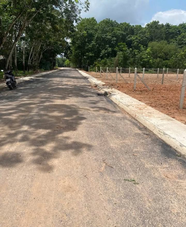 Đất nền Dĩ An Bình Dương 200m² giá 1.35 tỷ - Cơ hội đầu tư tuyệt vời!