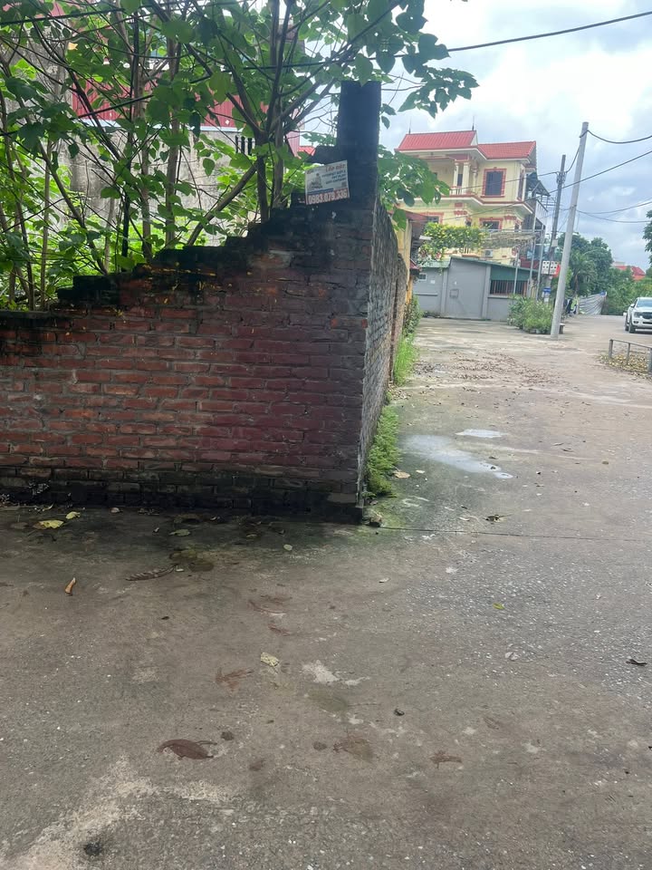 Đất lô góc 60m² tại Dương Xá, Gia Lâm - Giá chỉ 6 tỷ, đầu tư sinh lời!