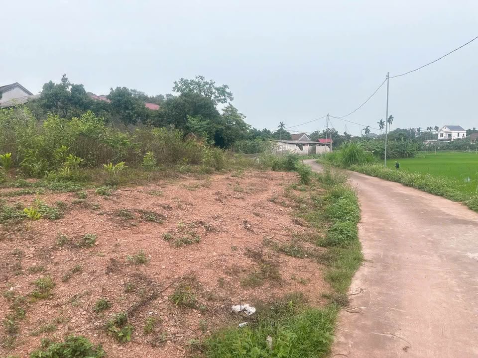 Đất Tiên Lục Lạng Giang 130m² giá 6.xx triệu - Đầy đủ thổ cư, vị trí thuận lợi!