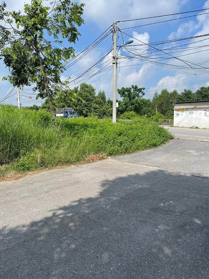 Đất nền Tân Hồng, Từ Sơn 96m² giá 4 tỷ - Sổ đỏ chính chủ, nhìn trường mầm non!