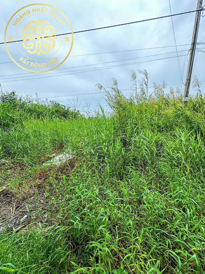 Đất nền giá rẻ tại P8, Cà Mau 215m² chỉ 550 triệu - Cơ hội đầu tư tuyệt vời!