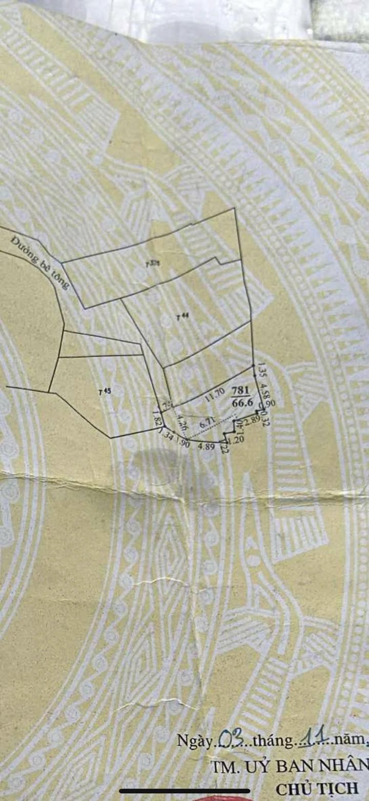 Nhà riêng hẻm 347/28 Cách Mạng Tháng Tám 66m² giá 2.7 tỷ - Đầu tư sinh lời ngay!