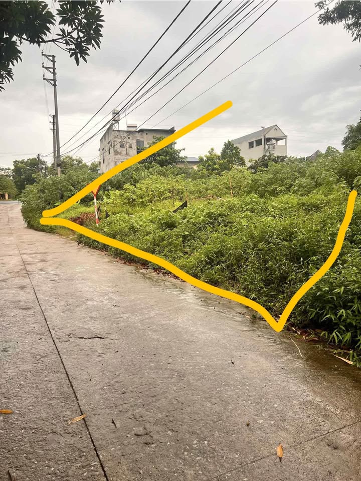 Đất mặt tiền đường Kim Đông, Sông Công 800m² giá chỉ 3 tỷ - Cơ hội đầu tư tuyệt vời!