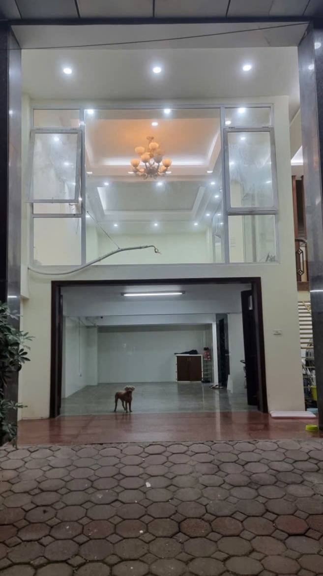 Nhà nguyên căn Hoàng Quốc Việt 80m² giá 50 triệu - Thang máy hiện đại, phù hợp văn phòng!