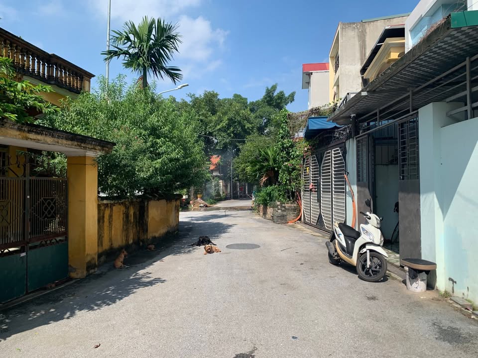 Đất nền chính chủ TDP An Định, Vĩnh Phúc 101m² giá 2.5 tỷ - Mặt tiền đẹp, vị trí trung tâm!