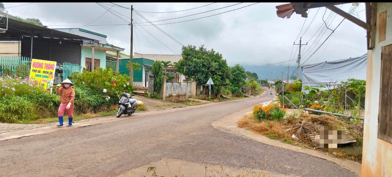 Đất Farm tại xã Quảng Lập, Lâm Đồng 7344m² giá 4.77 tỷ - Sổ hồng chính chủ, đầu tư sinh lời!