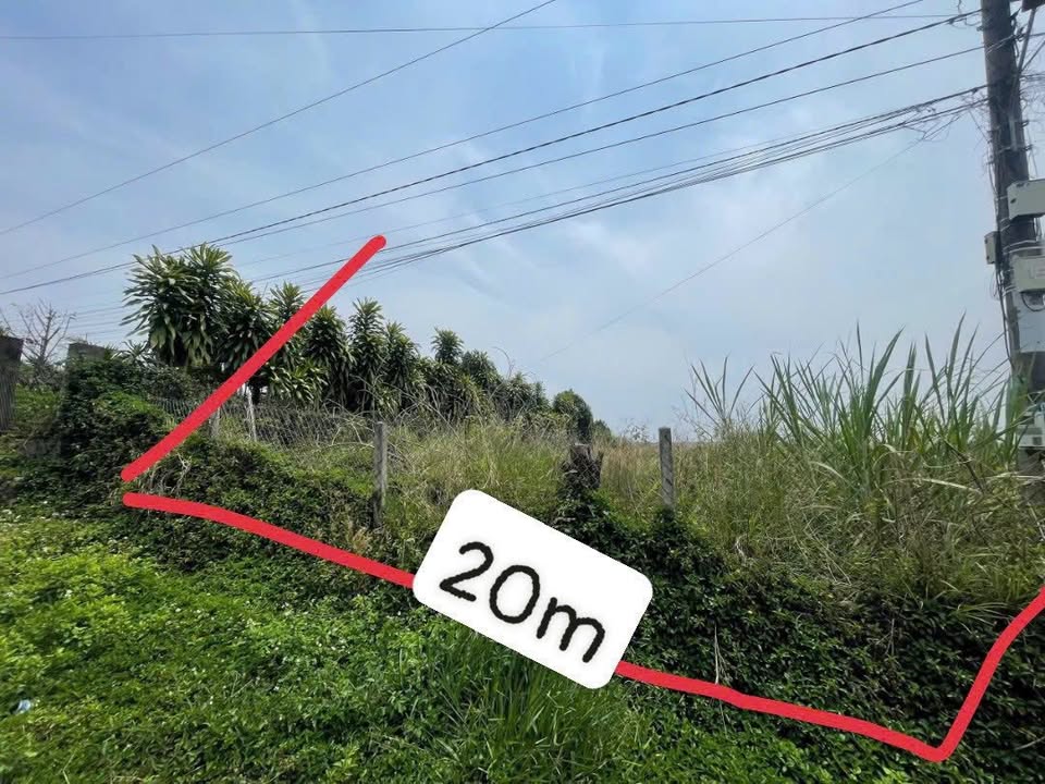 Đất mặt tiền đường nhựa thôn 7, phường 2 Bảo Lộc 2578m² - Giá chỉ 4 tỷ thương lượng!