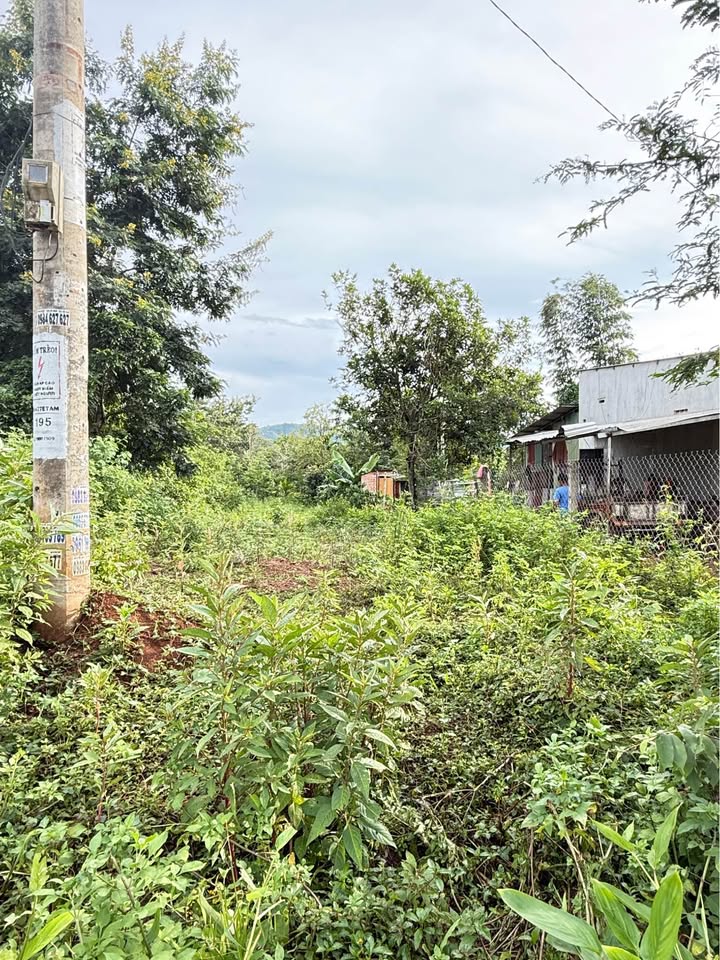 Đất nền mặt tiền Y Wang, Buôn Ma Thuột 300m² giá 1.32 tỷ - Cơ hội đầu tư tuyệt vời!