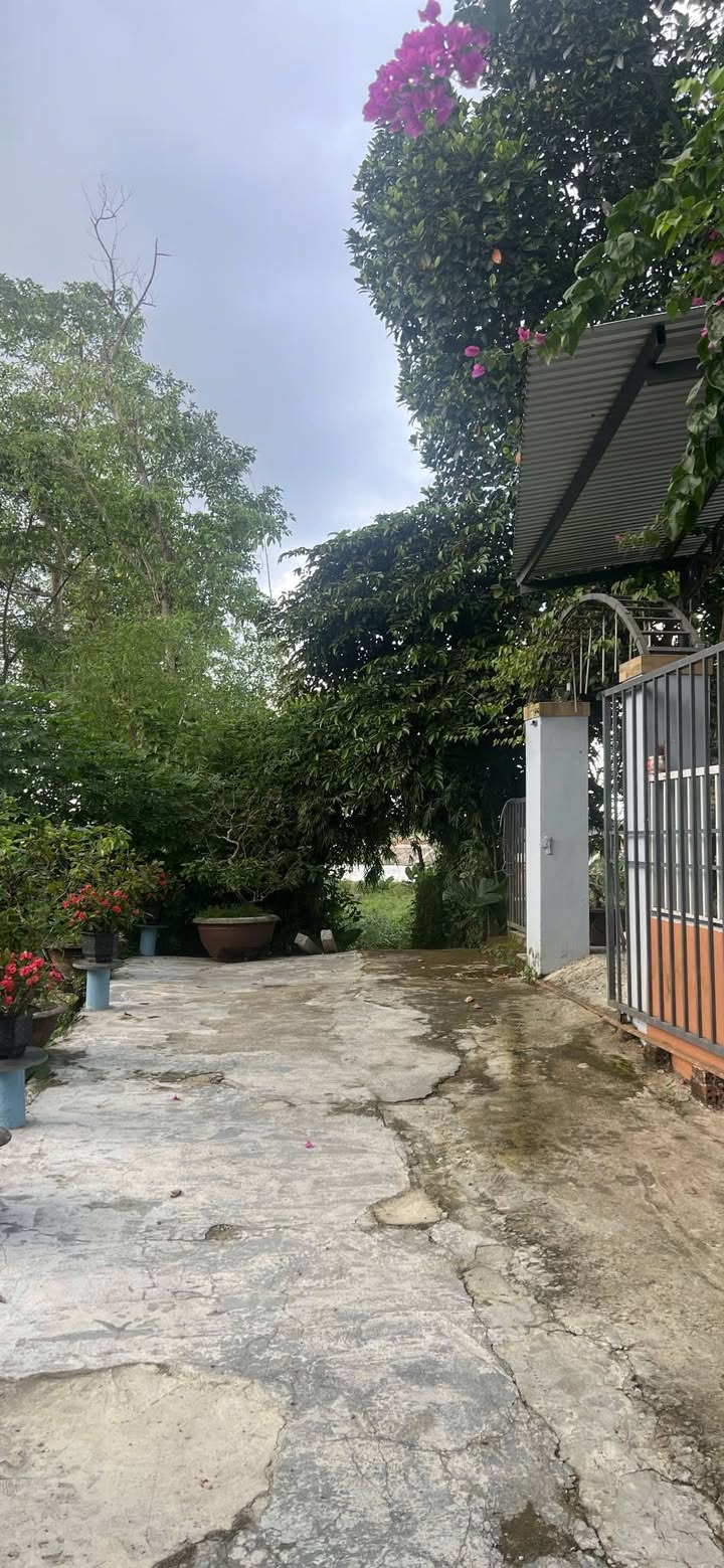 Đất nền Hòa Tiến 150m² giá 1 tỷ - Đường ô tô thông thoáng!