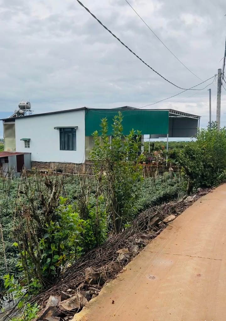 Đất Tân Hội, Đức Trọng 2000m² giá 3 tỷ - Đầu tư sinh lời ngay!