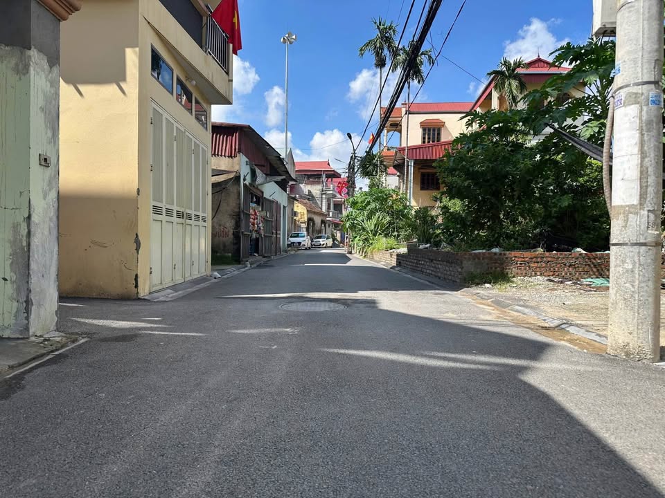 Đất nền thôn Phúc Thọ, Mai Lâm, Đông Anh 48m² giá 4.8 tỷ - Đầu tư sinh lời ngay!