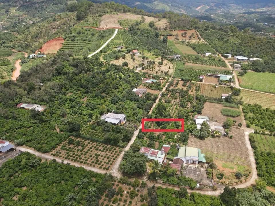 Lô đất vườn Nam Ban, Lâm Đồng 444m² giá 1.27 tỷ - Không thể bỏ lỡ!
