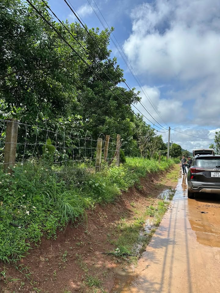 Đất nền Nam Ban Lâm Hà 320m² giá 1.25 tỷ - Đầu tư sinh lời cao!