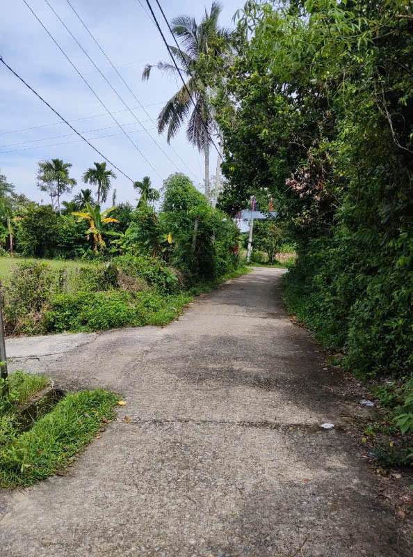 Đất ở Thọ Tân, Tam Ngọc 228m² giá 700 triệu - Cơ hội đầu tư hấp dẫn!