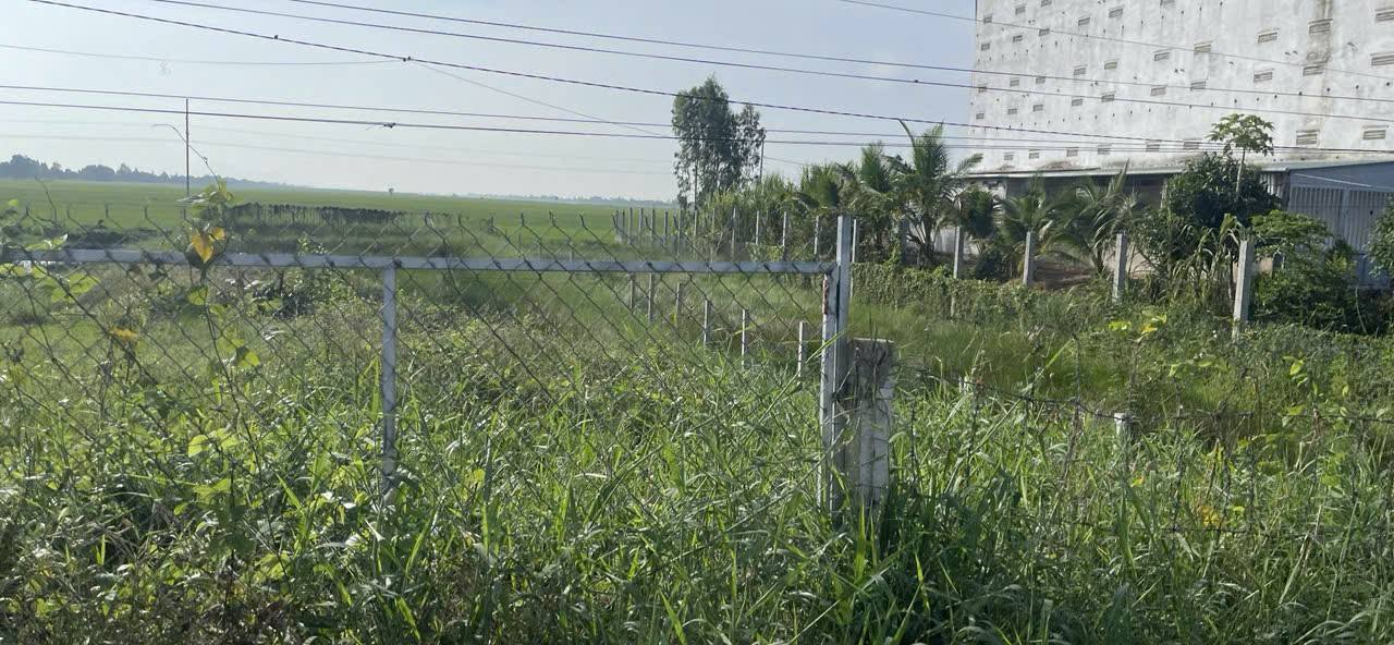 Đất mặt tiền đường Nông Trường, 1440m² giá chỉ 650 triệu - Cơ hội đầu tư tuyệt vời!