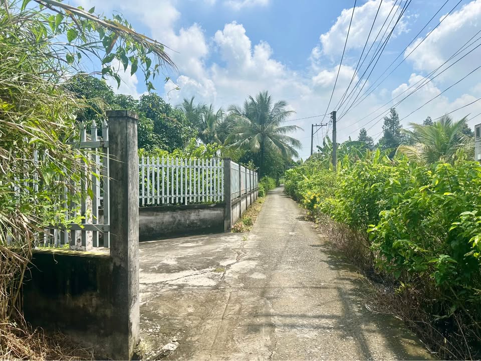 Đất thổ cư hẻm Bùi Tấn, Tân An 140m² giá 680 triệu - Chính chủ bán gấp!