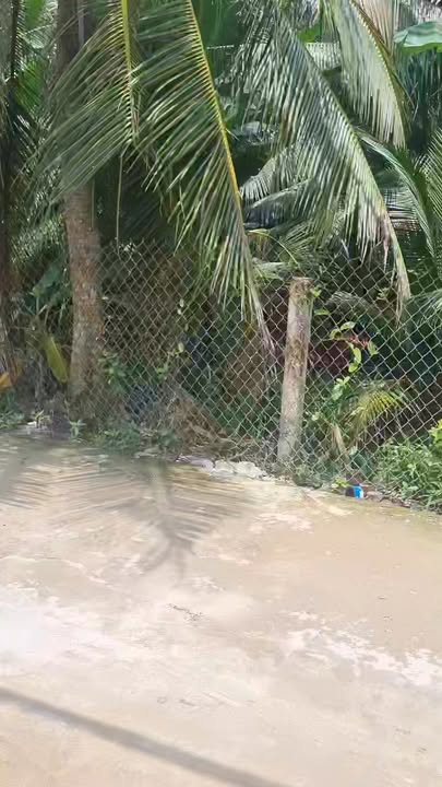 Nhà cấp 4 mẫu Tân cổ điển tại Mỹ Tho 118m² giá 1.38 tỷ - Sẵn sàng vào ở!