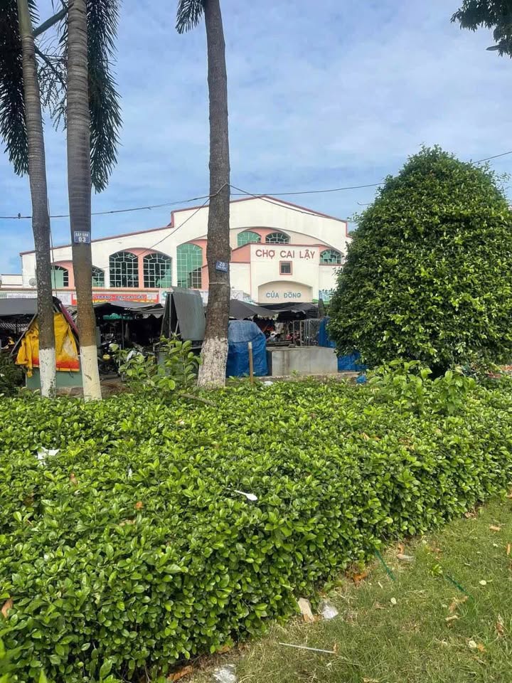 Đất nền mặt tiền đường Trương Văn Điệp, Cai Lậy, Tiền Giang - 81m² giá 8 tỷ - Đầu tư sinh lời ngay!
