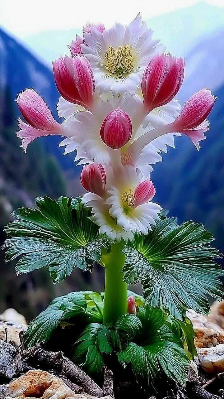 Căn hộ 2PN tại Tòa Origami Thủ Đức giá 7 triệu - Nội thất đầy đủ, sẵn sàng vào ở!