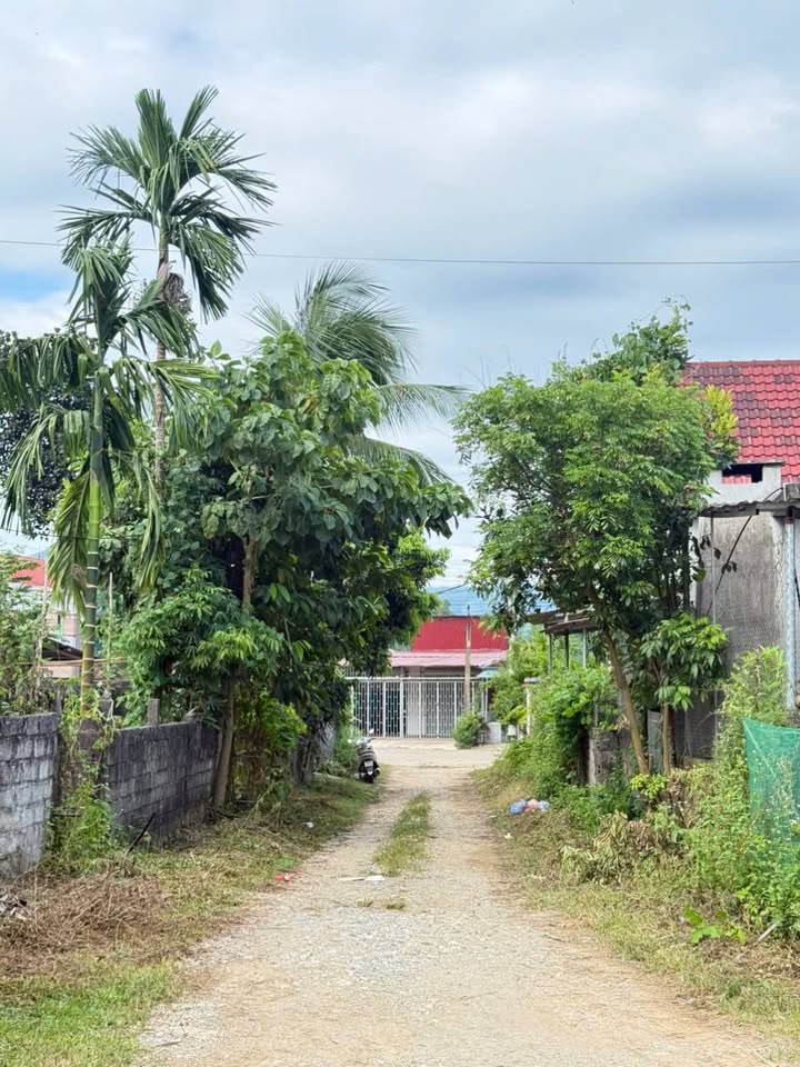 Đất 1233m² tại Yên Lương, Thanh Sơn - Giá chỉ 2 tỷ, mặt tiền 30m thuận lợi cho kinh doanh!