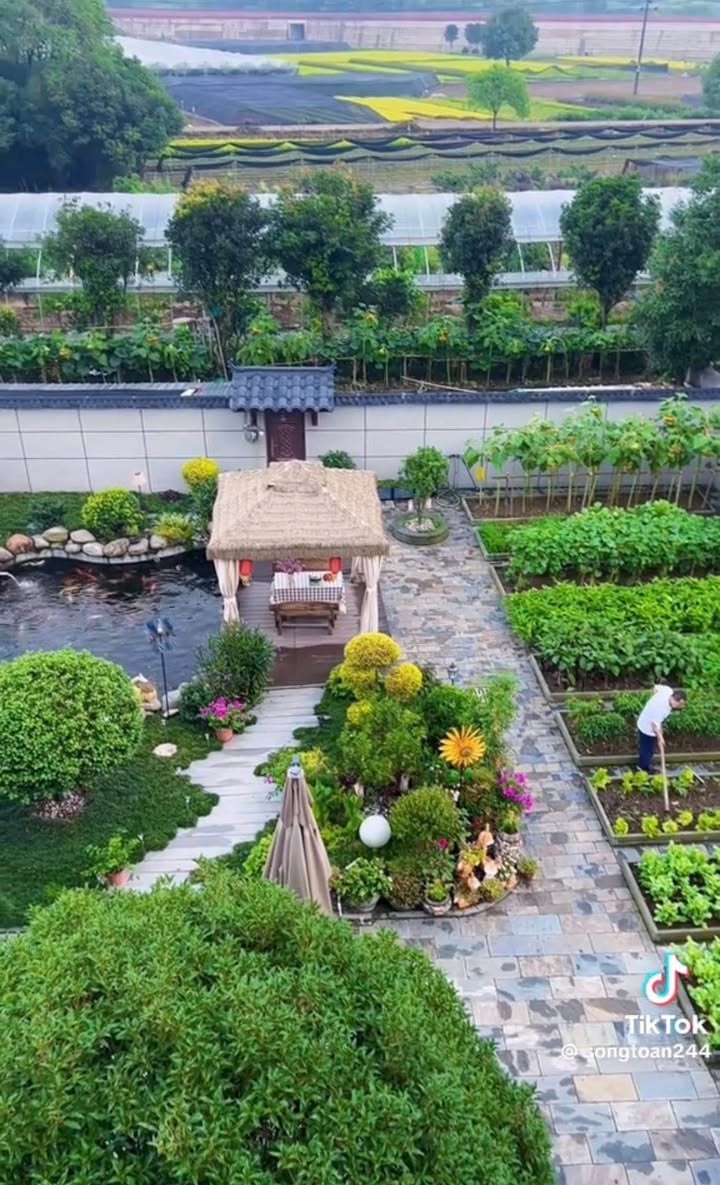 Đất nền nhà vườn ngõ 40 An Toàn, Dương Kinh, Hải Phòng, 600m² - Sổ đỏ chính chủ!