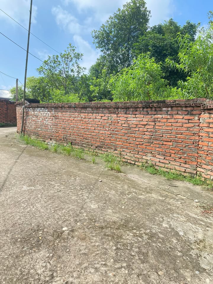 Đất nền Thanh Đình, Việt Trì 230m² giá 2 tỷ - Lô góc đẹp, đầu tư sinh lời!