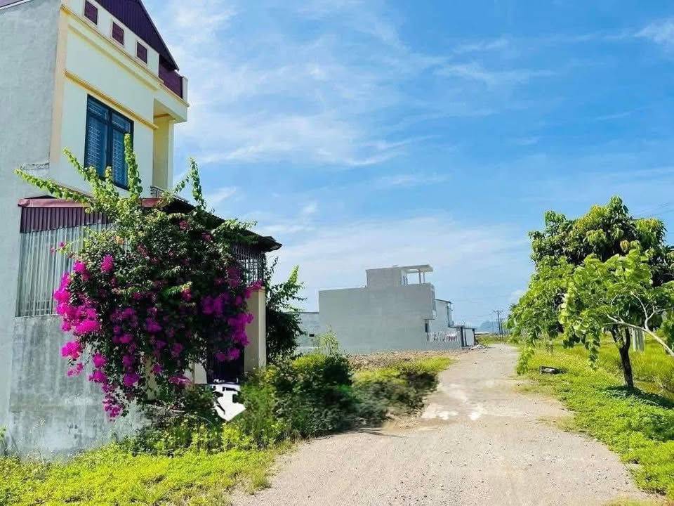 Đất nền xã Đồng Phong Nho Quan 100m² giá 1 tỷ - Đầu tư sinh lời ngay!