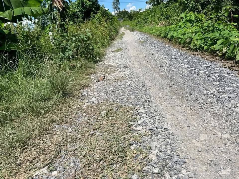 Đất nông nghiệp 20 công tại Bình Hàng Trung, 4.41 tỷ - Mặt tiền đường lớn, cặp sông