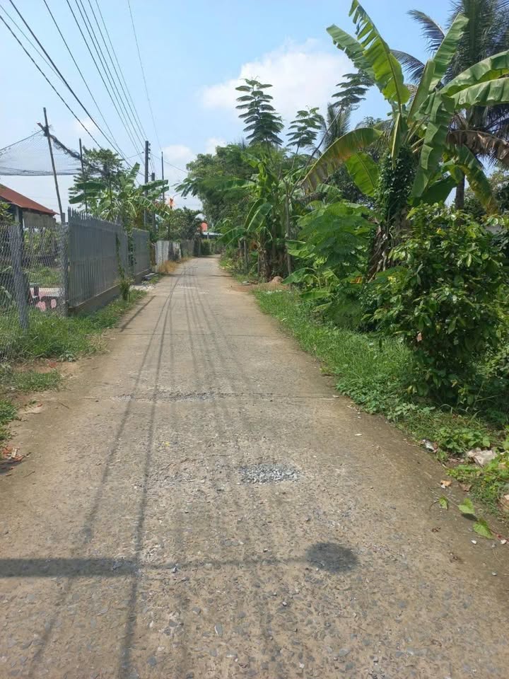 Đất nền Tân Khánh Trung, Lấp Vò 246.9m² giá 550 triệu - Tiềm năng sinh lời cao!