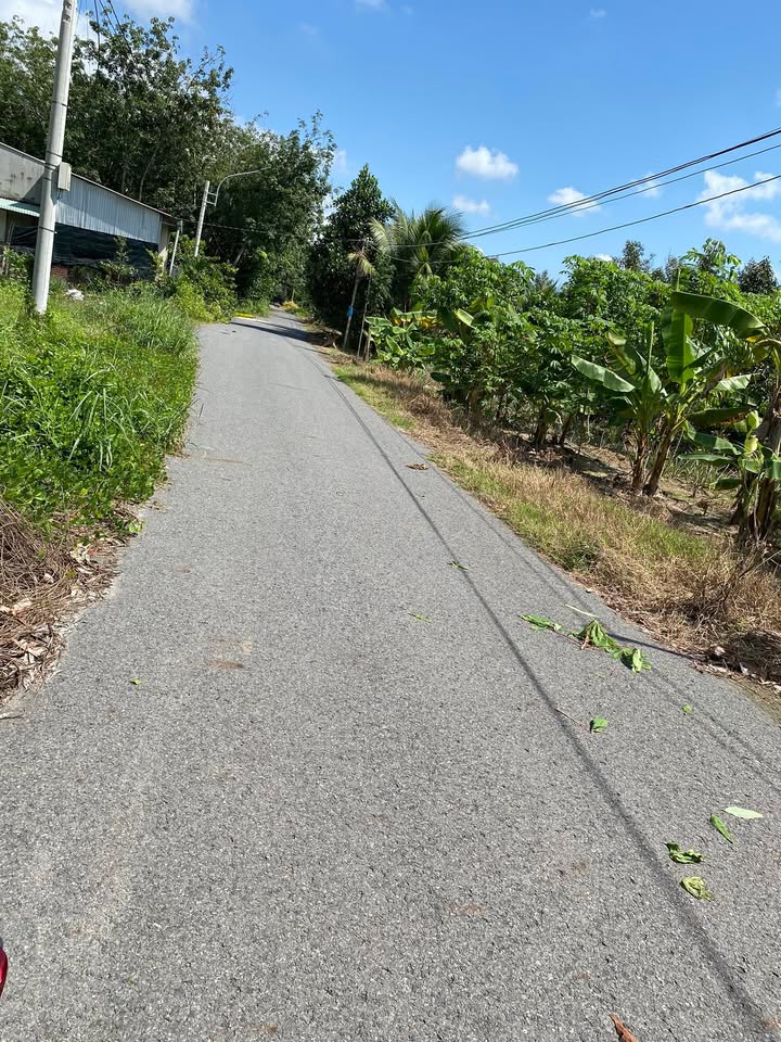 Đất nền Tân Châu Tây Ninh 620m² giá 890 triệu - Đường nhựa thông thoáng!