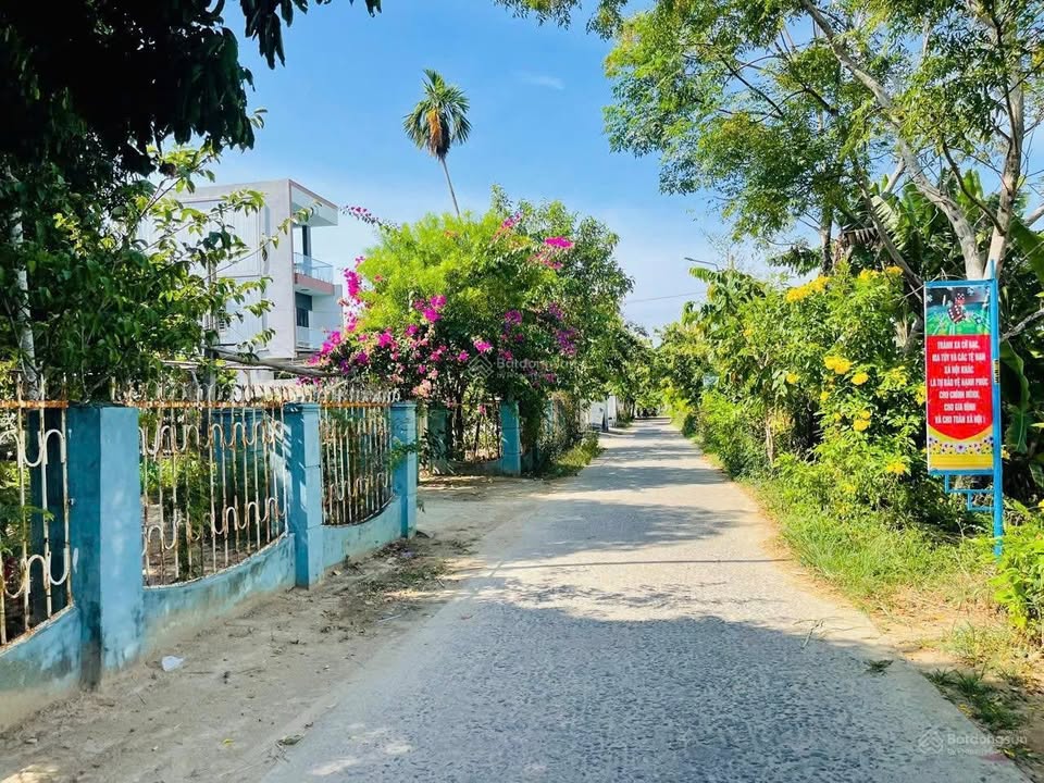 Đất ODT mặt tiền Trần Phú, 113m² giá chỉ 700 triệu - Cơ hội đầu tư hấp dẫn!