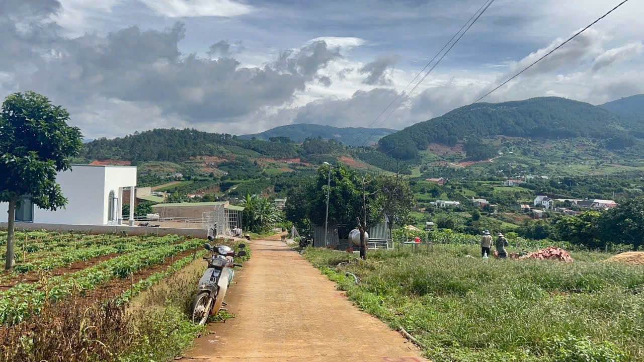 Đất nền Nam Ban Lâm Hà 175m² giá 530 triệu - Cơ hội đầu tư hấp dẫn!