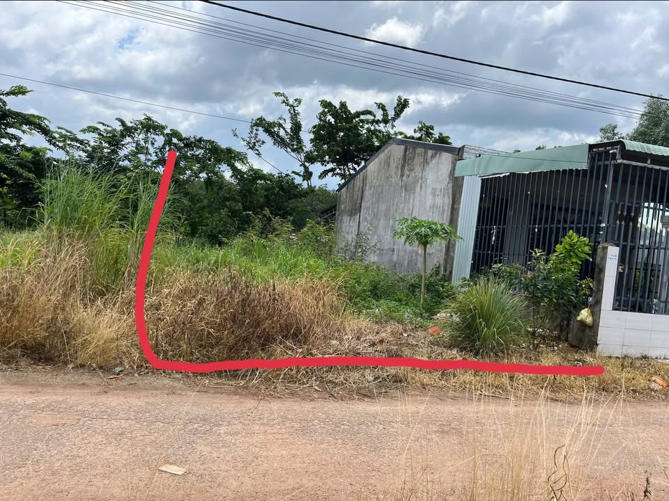 Đất nền Tân Thiện Đồng Xoài 176m² giá 1.1 tỷ - Bán gấp chính chủ!