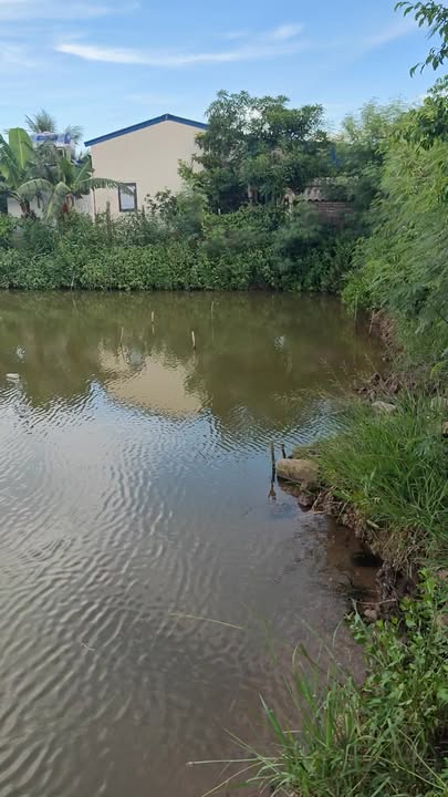 Đất đầm Tân Thành, Dương Kinh 11,300m² giá 15.455 tỷ - Cơ hội đầu tư sinh lời!