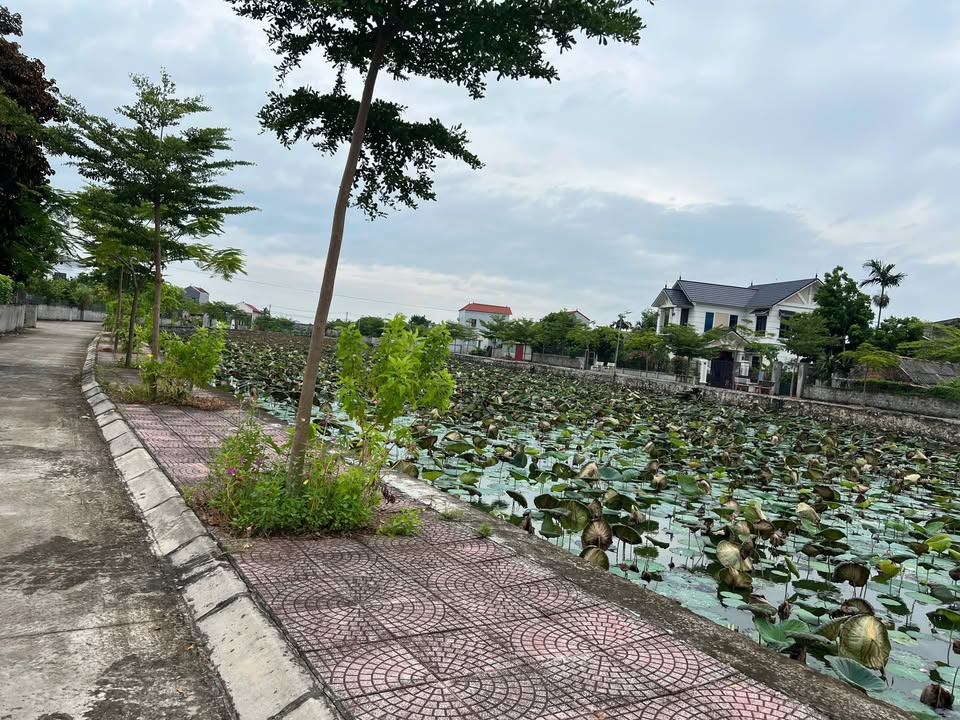 Đất nền Tảo Dương Văn 55m² giá 2 tỷ - View đẹp, ô tô vào tận nơi!