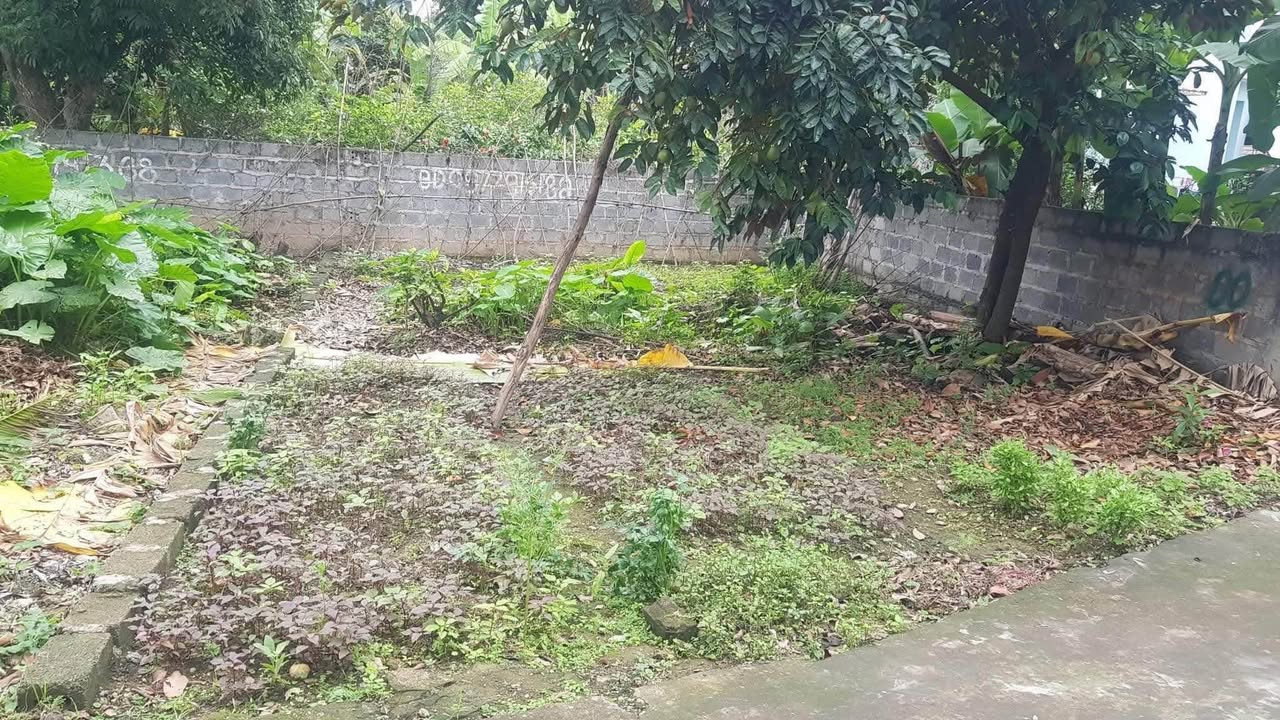 Đất nền Đồng Thái, An Dương 60m² giá 1,5 tỷ - Đường ô tô vào tận nơi!